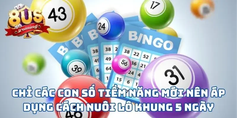 Chỉ các con số tiềm năng mới nên áp dụng cách nuôi lô khung 5 ngày
