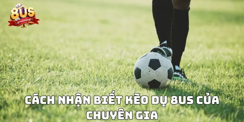 Cách nhận biết kèo dụ 8US của chuyên gia